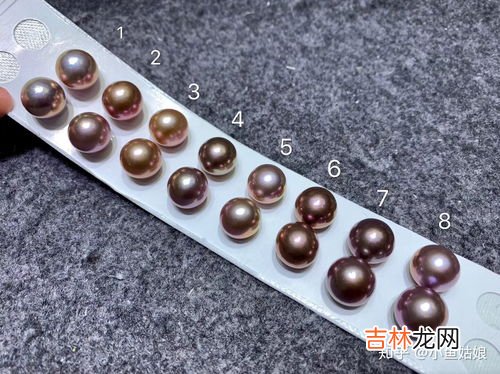 珍珠是蚌壳的什么,珍珠是蚌壳的排泄物?