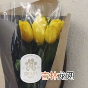 橙色郁金香花语,橙色郁金香的花语