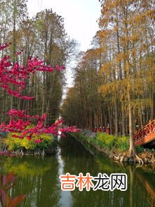 烟花三月下扬州的扬州是现在哪里,烟花三月下扬州指哪里