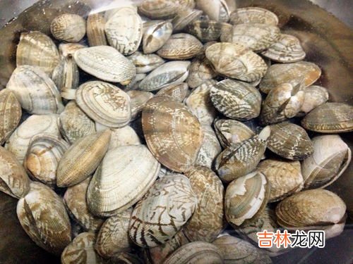 海参牡蛎片补肾吗,人参牡蛎片肾壮阳效果咋样