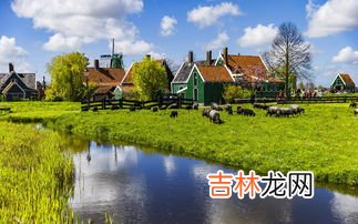 荷兰为什么是水之国,荷兰为什么称为水之国花之国