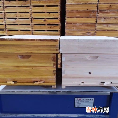 为啥晚上蜂箱巢门外有一坨蜂,蜜蜂雄蜂在箱子外面结团，晚上也不进去箱子里是为什么