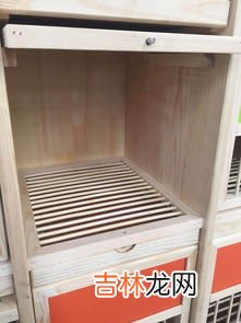 为啥晚上蜂箱巢门外有一坨蜂,蜜蜂雄蜂在箱子外面结团，晚上也不进去箱子里是为什么