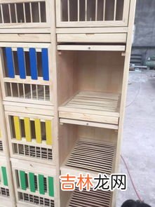 为啥晚上蜂箱巢门外有一坨蜂,蜜蜂雄蜂在箱子外面结团，晚上也不进去箱子里是为什么
