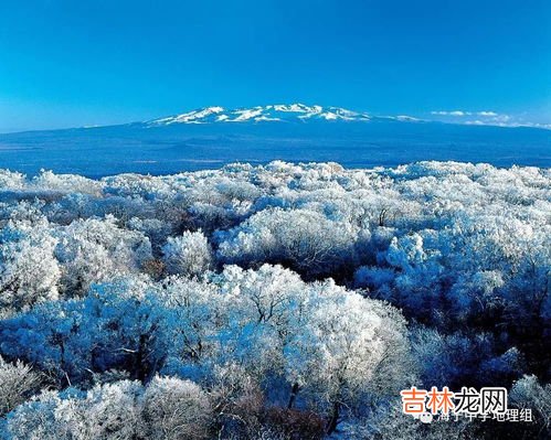 长白山刺玫的作用,山刺玫是什么地方？