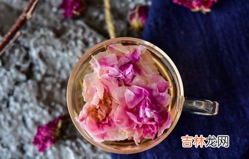 长白山刺玫的作用,山刺玫是什么地方？