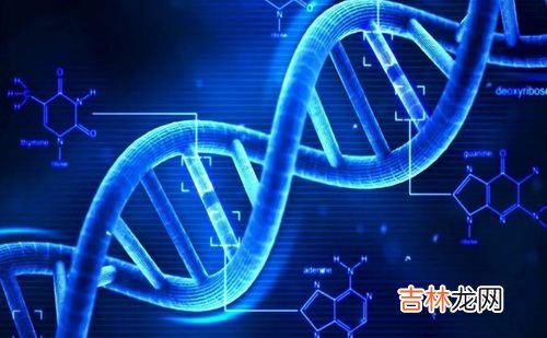 NMN生命基因有用吗,美国生命基因LIFE GENE抗衰老NMN产品里哪个能抗衰老效果好？