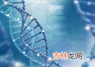 NMN生命基因有用吗,美国生命基因LIFE GENE抗衰老NMN产品里哪个能抗衰老效果好？