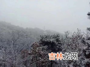 忽如一夜什么来,忽如一夜春风来，千树万树梨花开什么意思？