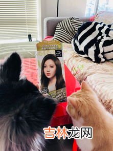 为什么理发店不用泡泡染发剂,染发膏和泡泡哪个更安全?使用效果怎么样?