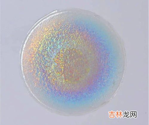 纤维素是糖类吗为什么,纤维素是多糖吗