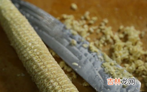 纤维素是糖类吗为什么,纤维素是多糖吗