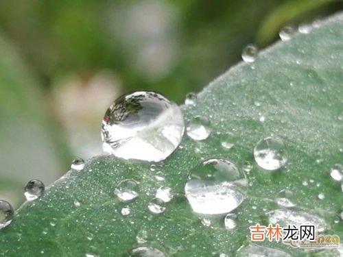 露珠晶莹是什么季节,寒露节气在什么季节 含义是什么意思