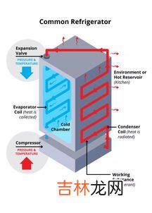 冰箱的制冷原理,电冰箱制冷原理详细讲解
