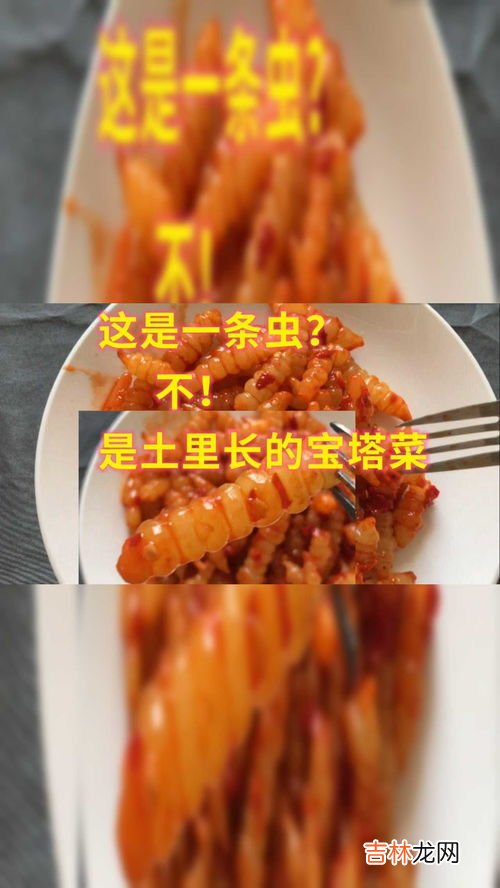 宝塔菜怎么吃,腌制宝塔菜怎么做才好吃？