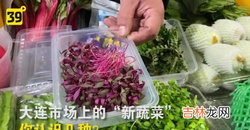 宝塔菜怎么吃,腌制宝塔菜怎么做才好吃？