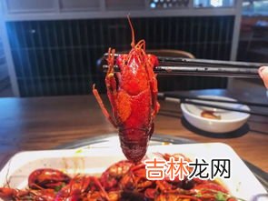 小龙虾吃什么东西,小龙虾吃什么食物
