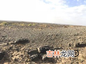 阿拉善是什么石头,阿拉善毛绒石有收藏价值吗