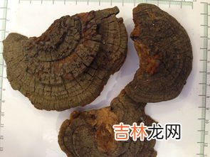 破壁孢子粉的功效,破壁灵芝孢子粉的功效