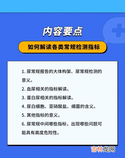 副号是什么意思,手机副号是什么？