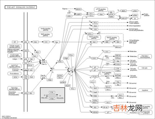 副号是什么意思,手机副号是什么？