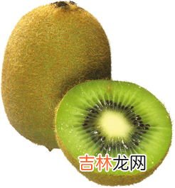 奇异果跟猕猴桃是一样的吗,奇异果和猕猴桃一样吗
