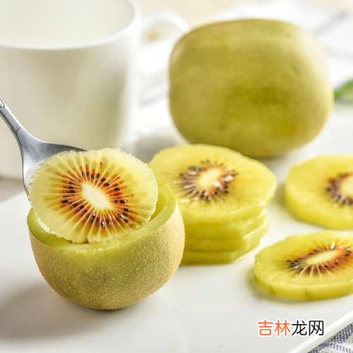 奇异果跟猕猴桃是一样的吗,奇异果和猕猴桃一样吗