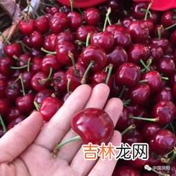 为啥买的车厘子涩嘴,车厘子吃完有点苦味是什么原因 车厘子表面黏黏的还能吃吗