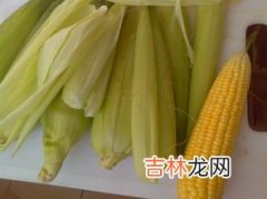 玉米和粽子可以在锅里一起煮吗,玉米能跟粽子一块煮吗