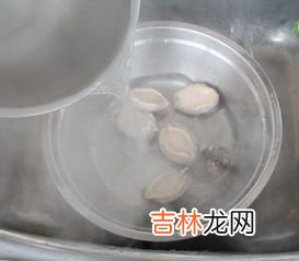 鲍鱼汤的做法有哪几种,鲍鱼汤怎么做