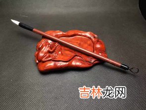 知了的寓意和象征,蝉代表的含义