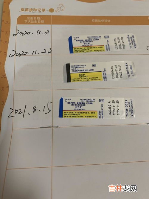 如何查询万国表的真伪,万国手表葡萄牙500704怎么辨别真假