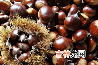 板栗和牛奶可以一起吃吗,栗子跟奶可能在一起喝 栗子跟奶一起吃可以吗