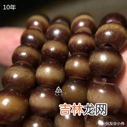 百香籽是什么树的种子,百香籽是什么树的种子