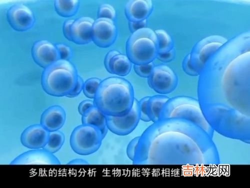 基因小分子肽怎么样,Gene基因小分子肽