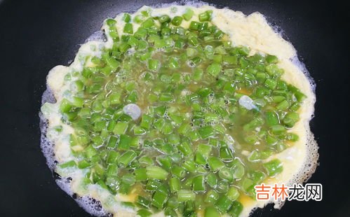 四季豆煮多久能熟,四季豆要煮多久才熟呢？四季豆是什么季节的菜呢？有斑点能吃吗？