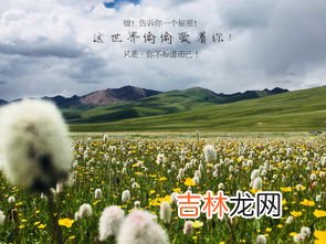 北京春天是几月份,北京的春天什么时候来