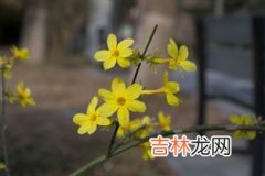 北京春天是几月份,北京的春天什么时候来