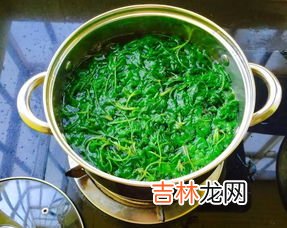 艾叶怎么煮,高压锅中如何煮艾草