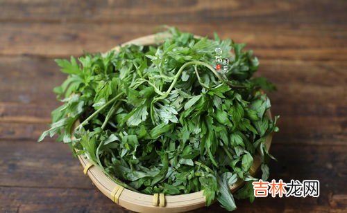 艾叶怎么煮,高压锅中如何煮艾草