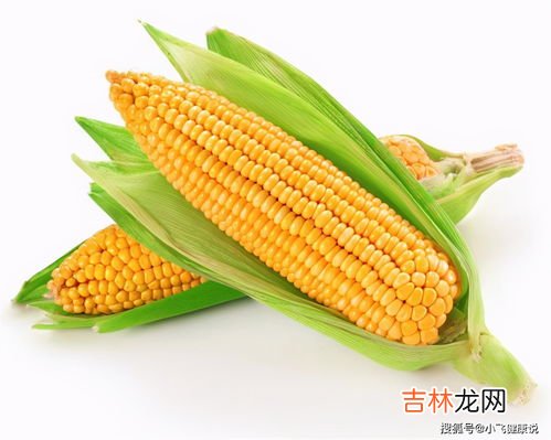 玉米核属于什么垃圾,玉米核坚果壳果核鸡骨等属于什么垃圾