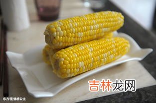 玉米核属于什么垃圾,玉米核坚果壳果核鸡骨等属于什么垃圾