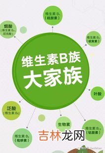 维生素B族的8大功效,维生素B的功效?