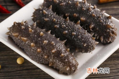 白海参的功效与作用及食用方法,白参的功效与作用及食用方法