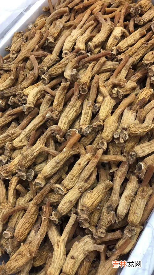 高丽参的副作用,哪些人不适合吃高丽参