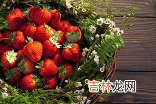 金针花怎么吃,干金针花的煲汤做法