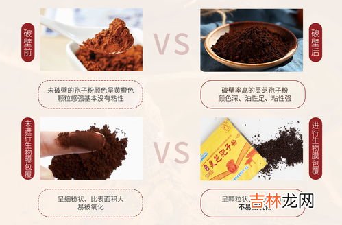 灵芝破壁孢子粉有效期,破壁灵芝粉的保质期是多长时间
