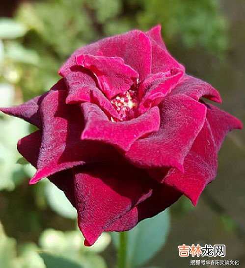 二十不勤三十不立是什么意思,农村俗语&quot;三十不发，四十不富，五十将寻死路&quot;，那“二十”怎么样了？