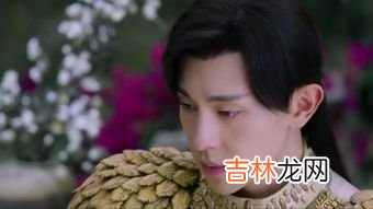 禾乌甘青素是什么东西,什么是青春素?