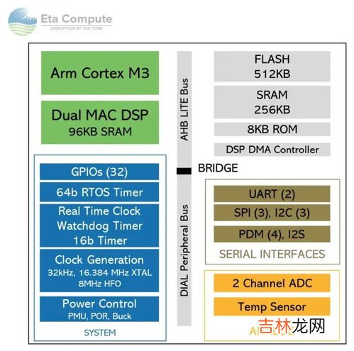 tiny怎么读,micro是什么意思？